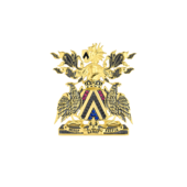 Нагрудный знак с черными бриллиантами, рубинами и сапфирами, желтое золото, н. керамика